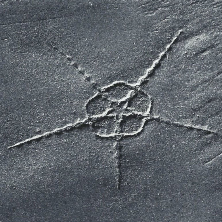 Ophiurina lymani; Bundenbach