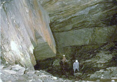 Bundenbach_Fossilien_Info